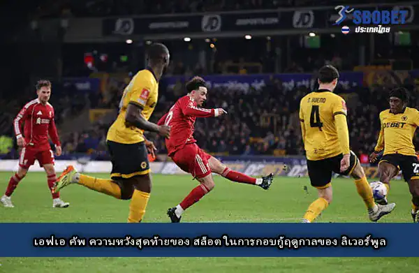 หงส์ลิ่วเอฟเอคัพ